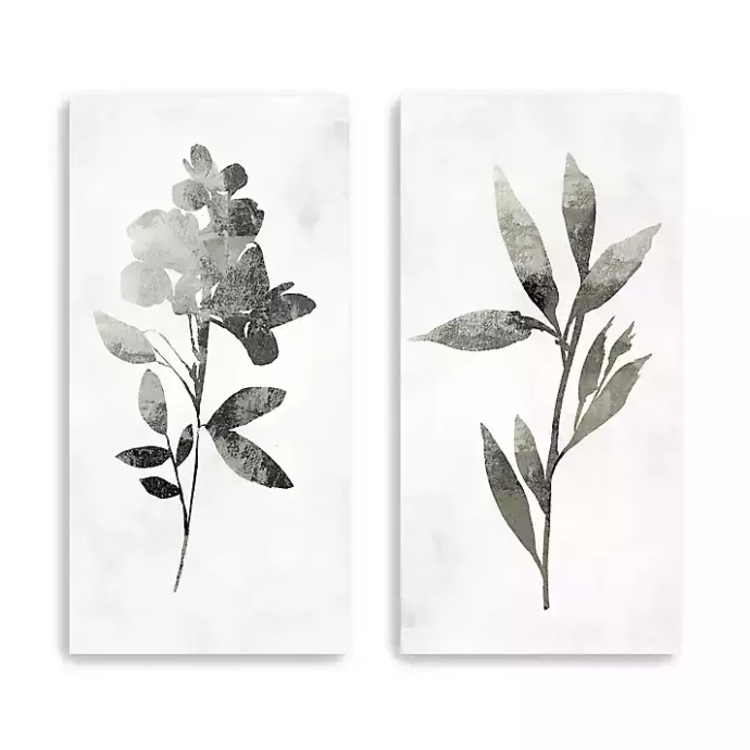 Clearance Kirklands Home A Shadow of a Flower 2-pc. Canvas Art Set