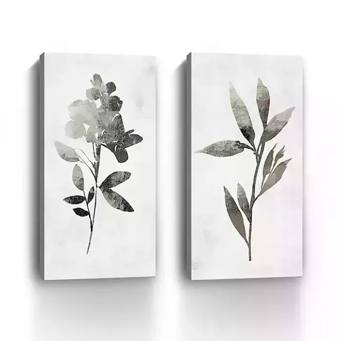 Clearance Kirklands Home A Shadow of a Flower 2-pc. Canvas Art Set