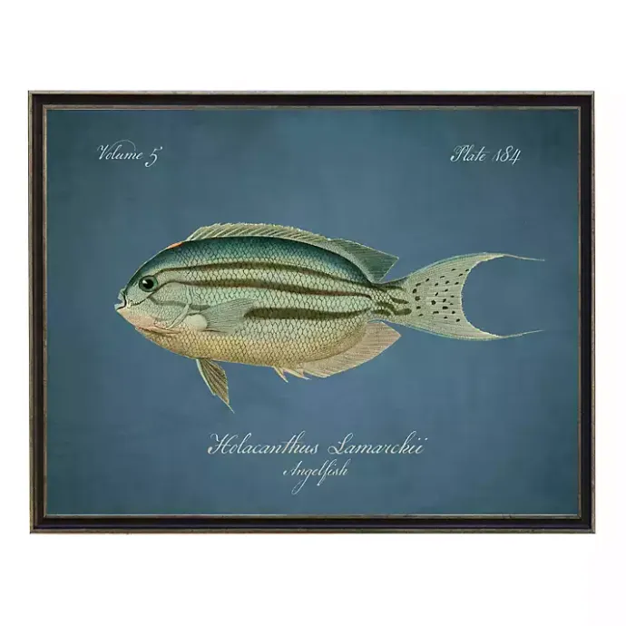 Kirklands Home Angelfish Framed Wall Art Blue