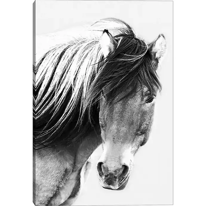 New Kirklands Home At First Glance Canvas Art Print