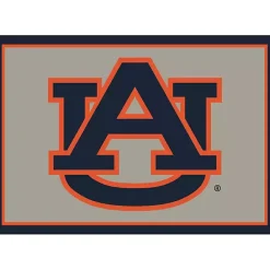 Clearance Kirklands Home Auburn University Area Rug, 4x6