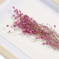 New Kirklands Home Avant Garden Dried Flowers Shadowboxes, Set of 2