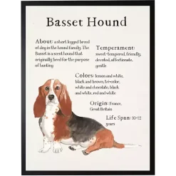 Online Kirklands Home Basset Hound Facts Framed Wall Plaque