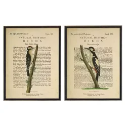 Hot Kirklands Home Birds Diagram II Framed Art Prints, Set of 2 Ivory