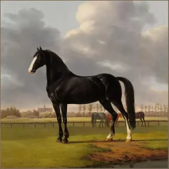 Online Kirklands Home Black and White Horse Framed Canvas Art Print