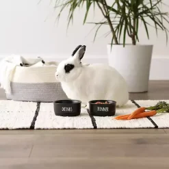 Outlet Kirklands Home Dinner & Drinks 2-pc. Pet Bowl Set, 4 in. Black