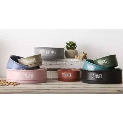 Outlet Kirklands Home Dinner & Drinks 2-pc. Pet Bowl Set, 4 in. Black