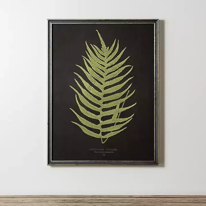 Kirklands Home Black Fern II Framed Art Print