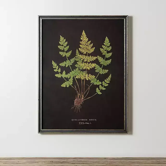Online Kirklands Home Black Fern V Framed Art Print