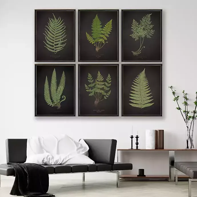 Online Kirklands Home Black Fern V Framed Art Print