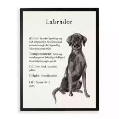 Online Kirklands Home Black Lab Facts Framed Wall Plaque