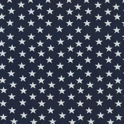 New Kirklands Home Blue and White Stars Outdoor Pillows, Set of 2