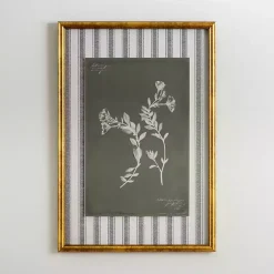 Best Kirklands Home Botanical Stripes I Framed Art Print
