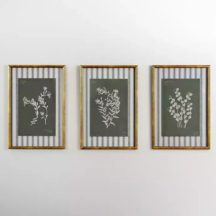 Clearance Kirklands Home Botanical Stripes III Framed Art Print