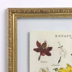 Hot Kirklands Home Botany Gold Framed Art Print