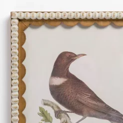 Online Kirklands Home Brown Birds Scalloped Framed Art Print
