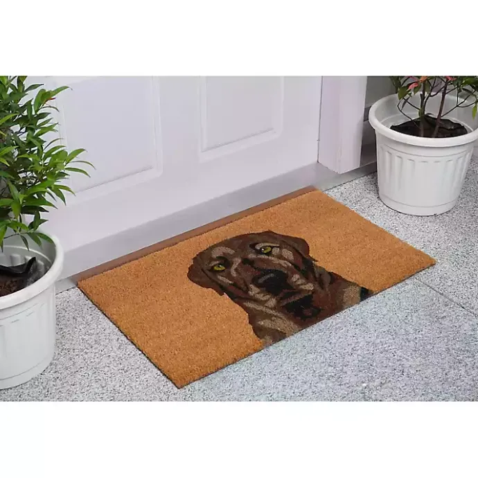Discount Kirklands Home Labrador Doormat Brown