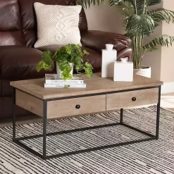 Online Kirklands Home Wood and Metal 2-Drawer Coffee Table Brown