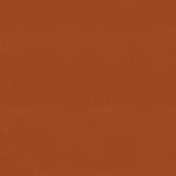 Kirklands Home Burnt Outdoor Chaise Cushion Orange