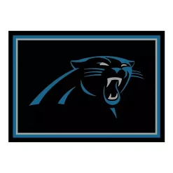 New Kirklands Home Carolina Panthers Area Rug, 4x6 Black