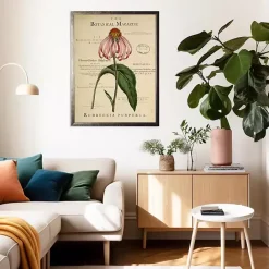 Discount Kirklands Home Coneflower Botanical Magazine Framed Art Print Multi