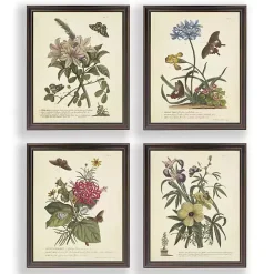 Kirklands Home Day Butterfly Blooms Framed Art Prints, Set of 4