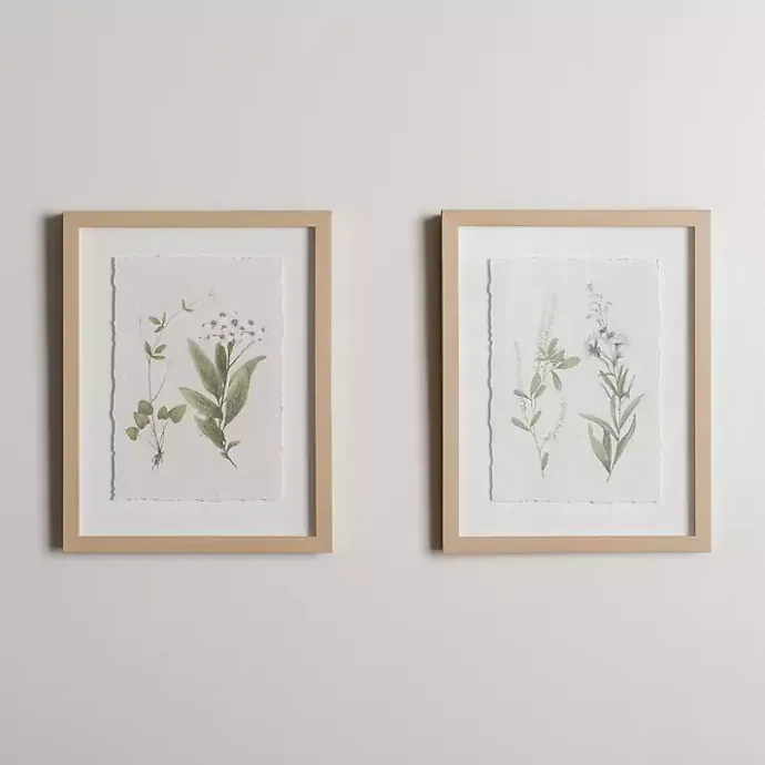 Discount Kirklands Home Delicate Botanical Framed Art Prints, Set of 2 White
