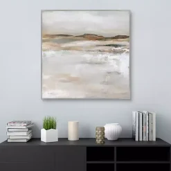 Best Kirklands Home Desert Floor Framed Canvas Art Print Gray