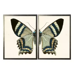 Hot Kirklands Home Diptych Butterfly Framed Art Print, Set of 2