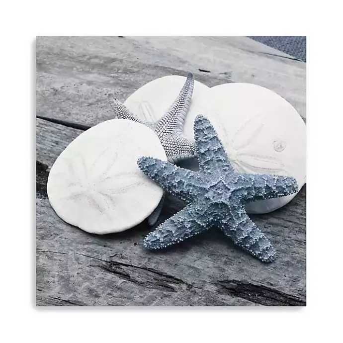 Clearance Kirklands Home Driftwood Shell IV Canvas Art Print, 30x30 in.