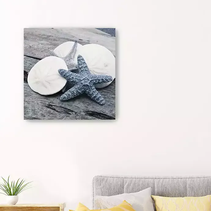 Clearance Kirklands Home Driftwood Shell IV Canvas Art Print, 30x30 in.