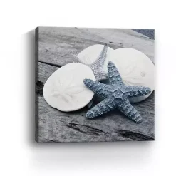 Clearance Kirklands Home Driftwood Shell IV Canvas Art Print, 30x30 in.