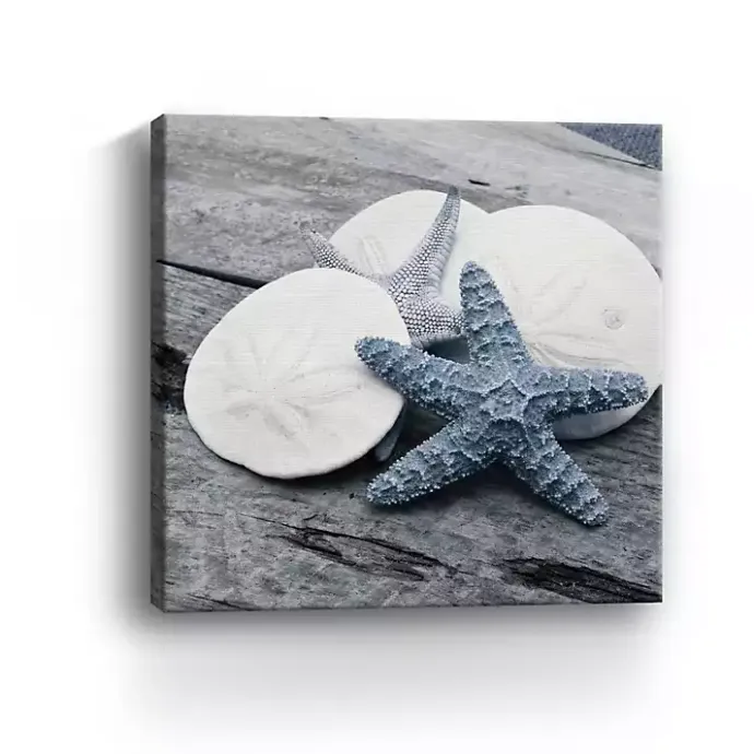 Clearance Kirklands Home Driftwood Shell IV Canvas Art Print, 30x30 in.