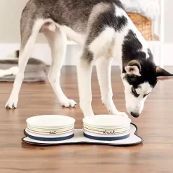 Hot Kirklands Home Eat & Drink Large Striped Pet Bowls, Set of 2 Multi