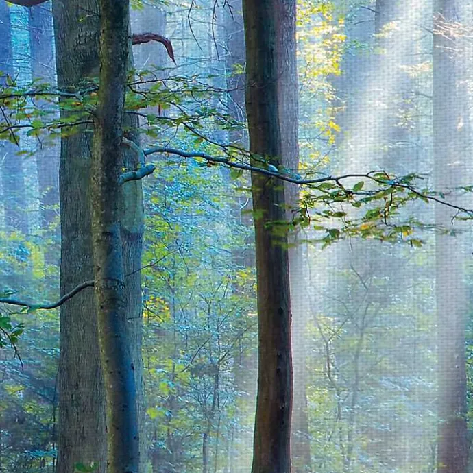 New Kirklands Home Enchanted Forest Canvas Print by Lars Van De Goor