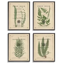 Hot Kirklands Home Fern Illustrations Framed Art Prints, Set of 4