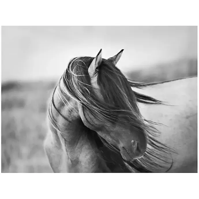 Discount Kirklands Home Fierce Grace Canvas Art Print