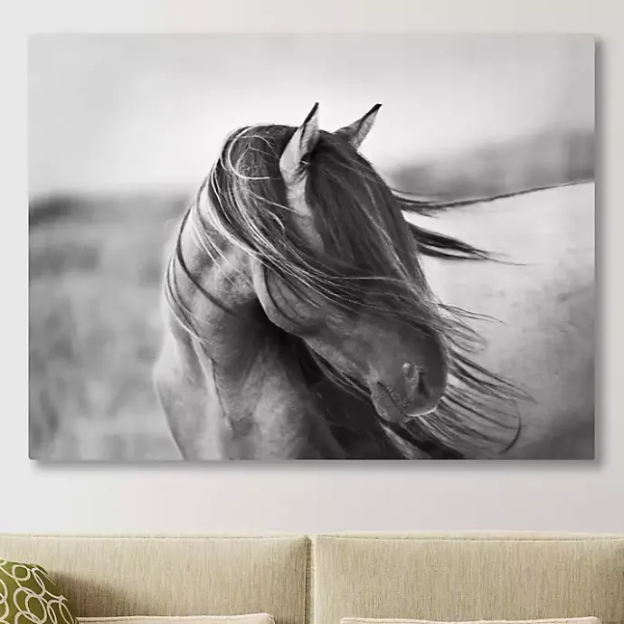 Discount Kirklands Home Fierce Grace Canvas Art Print