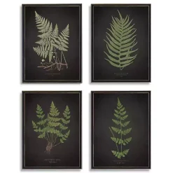 Kirklands Home Four Ferns Framed Art Prints, Set of 4
