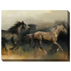 Clearance Kirklands Home Free Rein Outdoor Canvas Art Print