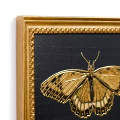 Discount Kirklands Home Gold Moth Framed Art Print