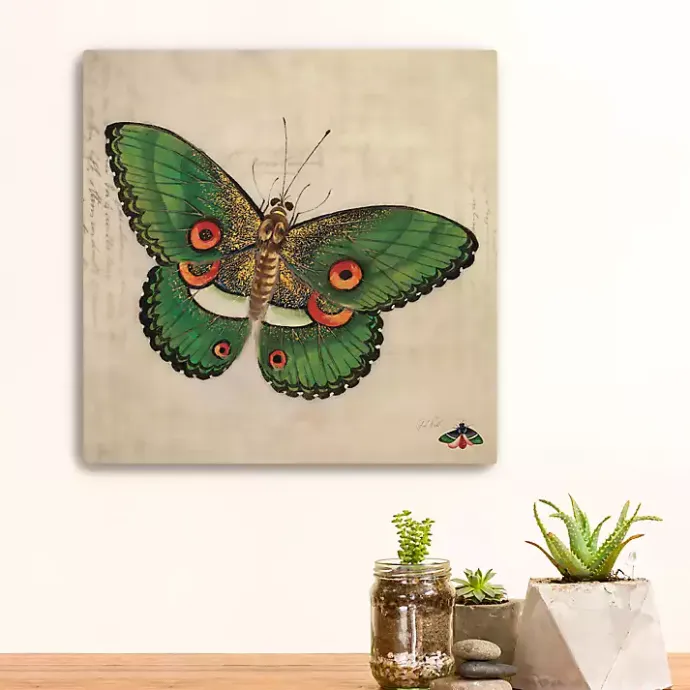 Hot Kirklands Home Green Vintage Butterfly Canvas Art Print