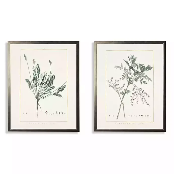 Outlet Kirklands Home Greenery Botanicals I Framed Art Prints, Set of 2