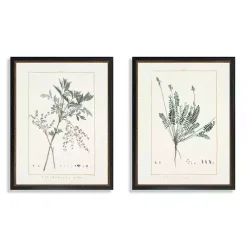 New Kirklands Home Greenery I Framed Art Prints, Set of 2 Ivory