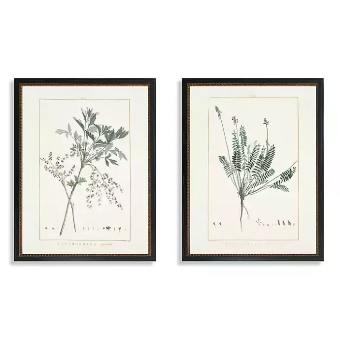 New Kirklands Home Greenery I Framed Art Prints, Set of 2 Ivory