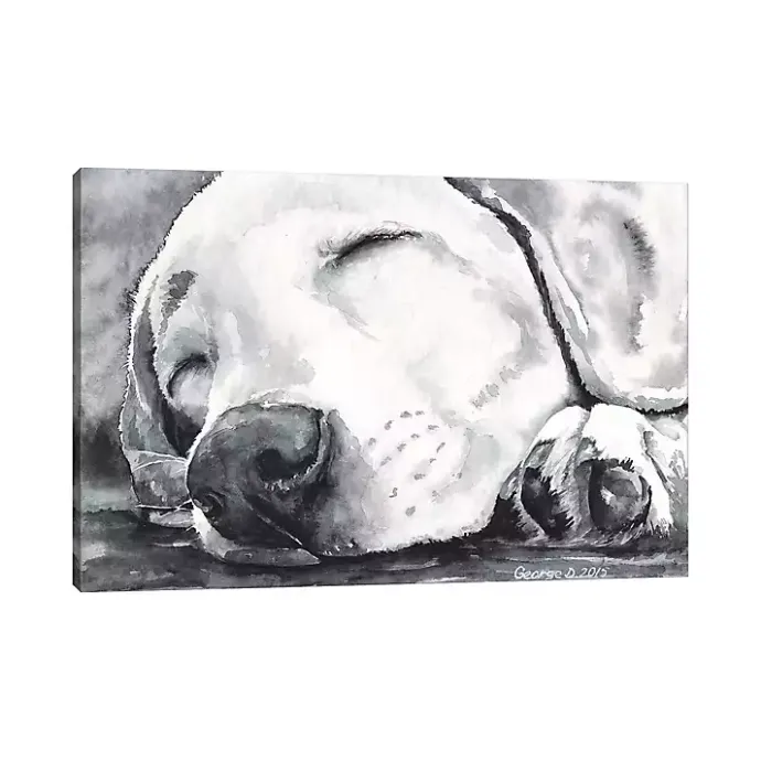 New Kirklands Home Happy Dreams Dog Giclee Canvas Art Print, 40x26 Gray