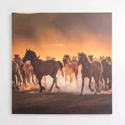 Outlet Kirklands Home Horses Running Wild Canvas Art Print Brown
