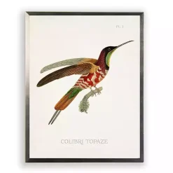 Outlet Kirklands Home Hummingbird I Framed Art Print Multi