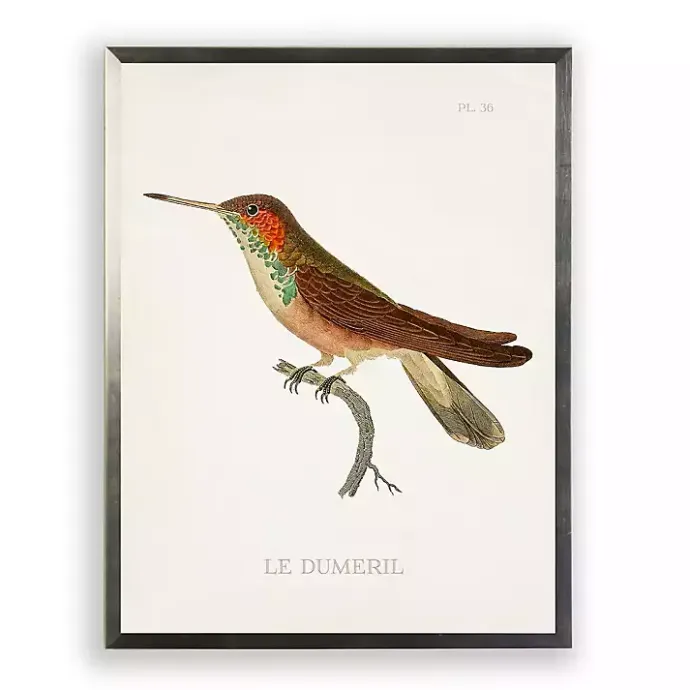 New Kirklands Home Hummingbird II Framed Art Print Multi