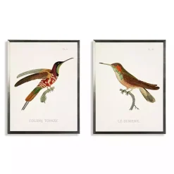 Outlet Kirklands Home Hummingbirds I Framed Art Prints, Set of 2 Multi